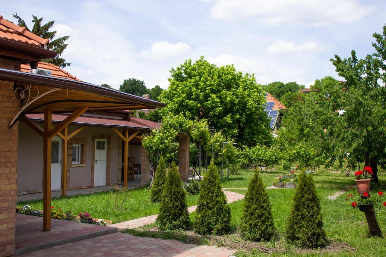 Ilona Apartman Дьюла Екстер'єр фото